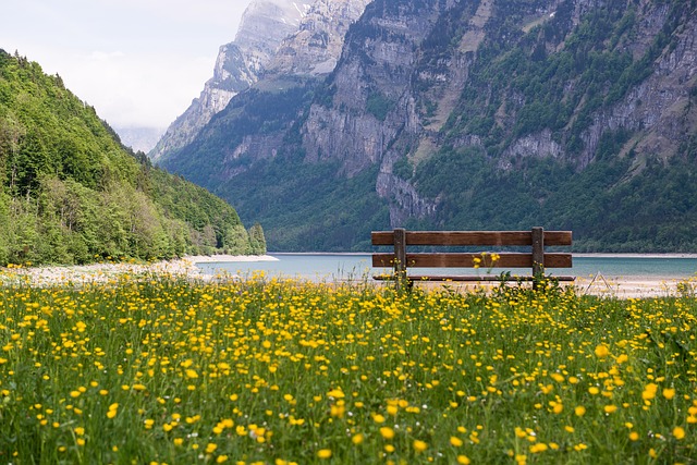 Switzerland 500MB, 30 days