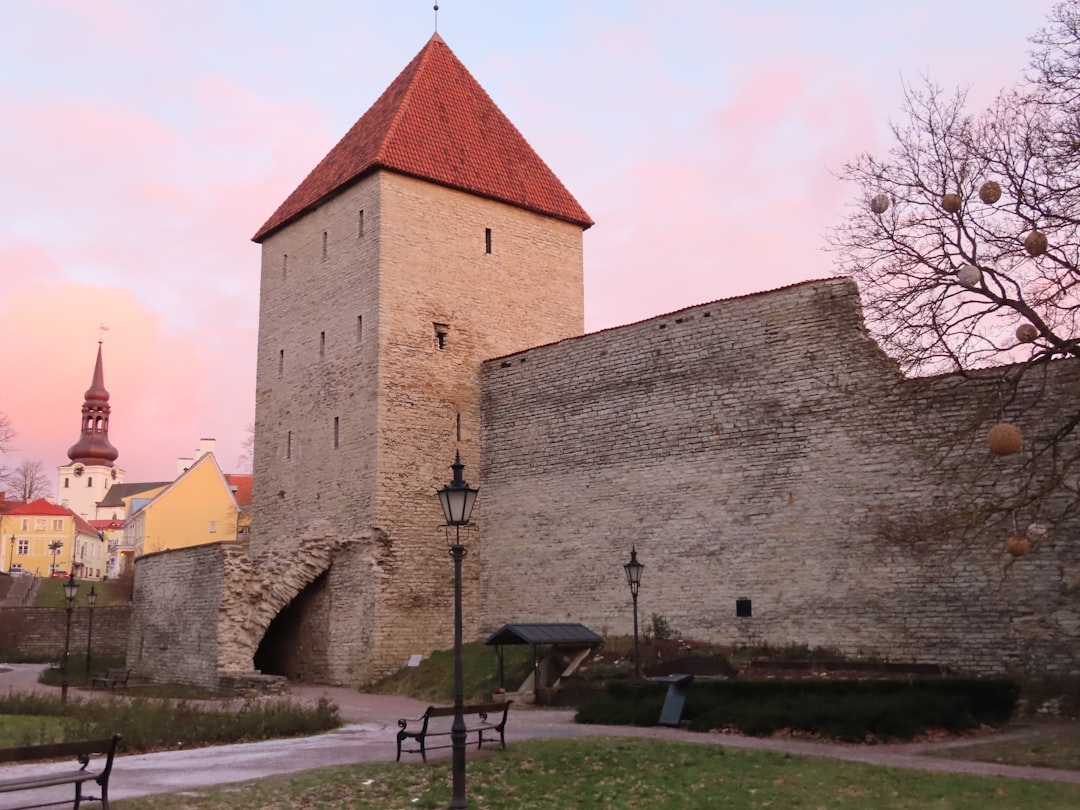 Estonia 500MB, 30 days