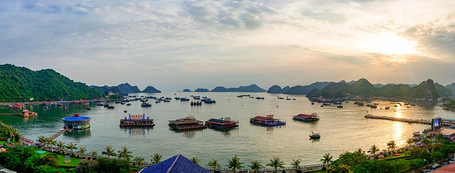 Vietnam-Vinaphone Local-500MB/day-384kbps-eSIM Carrier of 90 days 